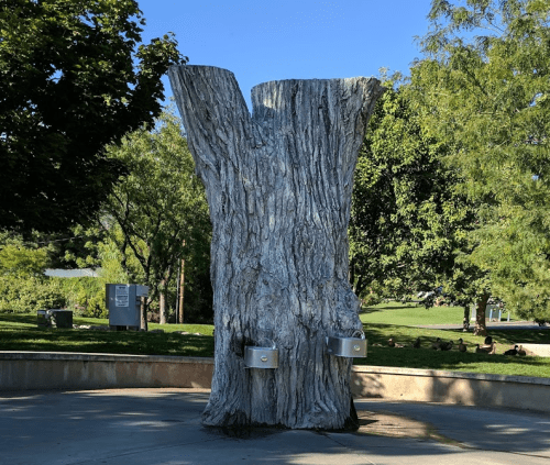 A large, textured tree stump with two metal water fountains in a park setting, surrounded by greenery.