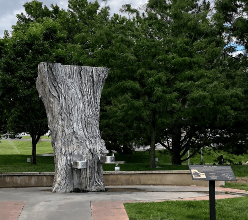 A large, weathered tree stump with two drinking fountains beside it, surrounded by green trees and grass.