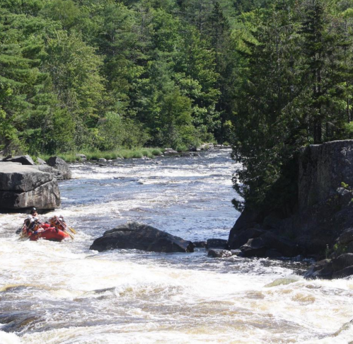 A group of people in a red raft navigating a rocky river surrounded by lush green trees.