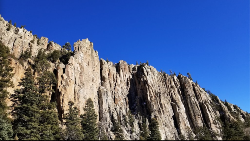 A rocky cliffside with tall, jagged formations and scattered evergreen trees under a clear blue sky.