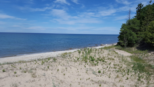 A serene beach scene with sandy dunes, green vegetation, and calm blue waters under a partly cloudy sky.