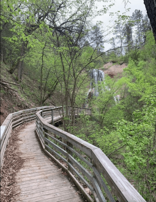 A winding wooden path through lush greenery, leading to a waterfall in a serene forest setting.