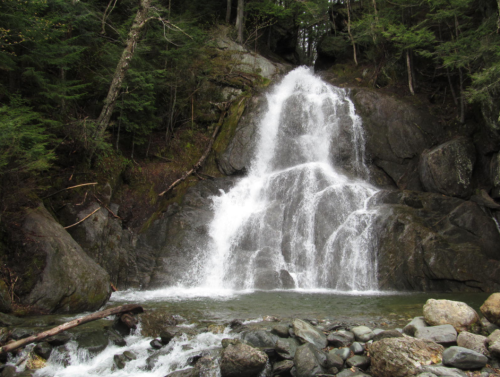 A serene waterfall cascading over rocky terrain, surrounded by lush green trees and a clear pool below.