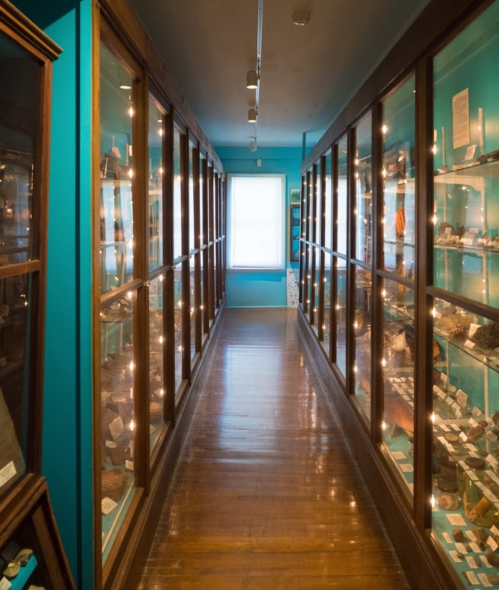 A hallway lined with glass display cases showcasing various minerals and rocks, illuminated by soft lighting.