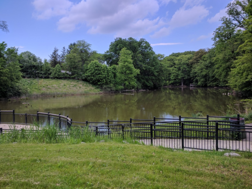 A serene park scene featuring a calm pond surrounded by trees and a grassy area with a black railing.