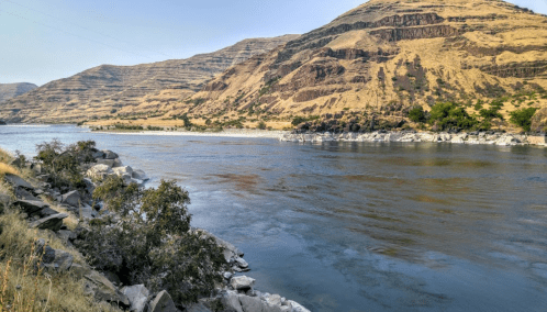 A serene river flows alongside rocky banks and rolling hills, with dry, golden vegetation under a clear blue sky.