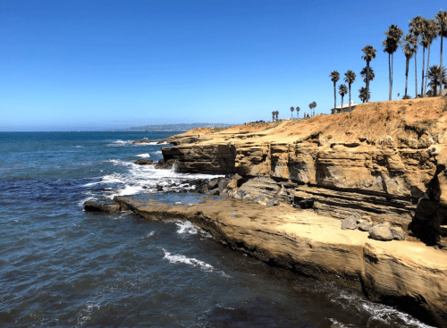 Coastal view with rocky cliffs, waves crashing, and palm trees under a clear blue sky.