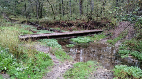 A wooden bridge spans a small stream in a lush, green forest with trees and undergrowth surrounding the area.