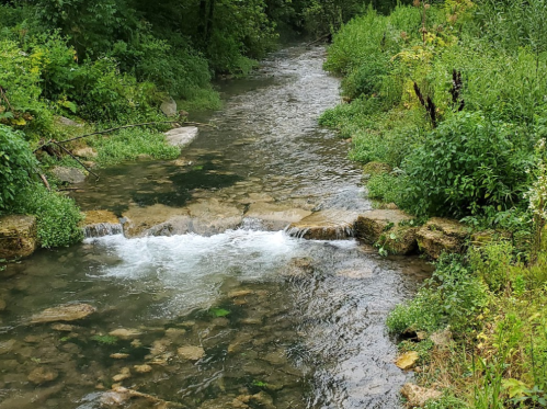A serene stream flows over rocks, surrounded by lush green vegetation and trees.