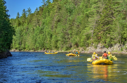 Rafting groups navigate a calm river surrounded by lush green trees under a clear blue sky.