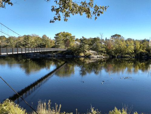 A serene river scene featuring a suspension bridge, lush trees, and ducks swimming in calm waters under a clear blue sky.