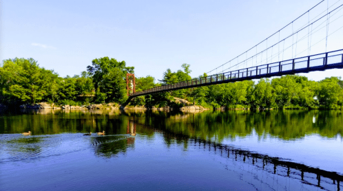 A scenic view of a suspension bridge over a calm river, surrounded by lush greenery and ducks swimming nearby.