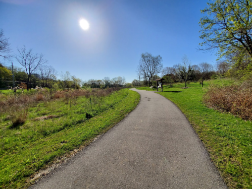 A winding path through a sunny park, surrounded by green grass and trees under a clear blue sky.