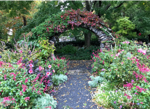 A stone archway covered in vibrant flowers leads into a lush, green garden.