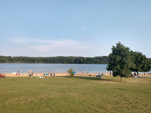 A sandy beach by a lake with people enjoying the sun, swimming, and relaxing on a clear day. Green trees in the background.