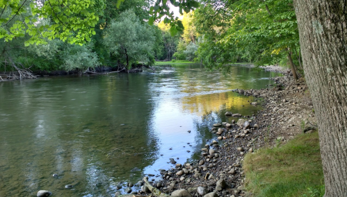 A serene river scene with calm water, surrounded by lush greenery and rocky banks under soft sunlight.