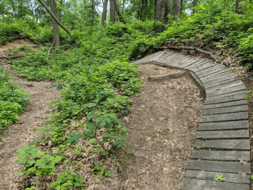 A winding wooden path through a lush green forest with dense foliage and dirt trails.