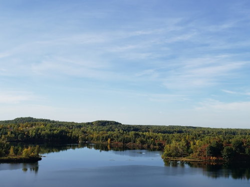 A serene lake surrounded by lush green trees under a clear blue sky, reflecting the vibrant autumn colors.