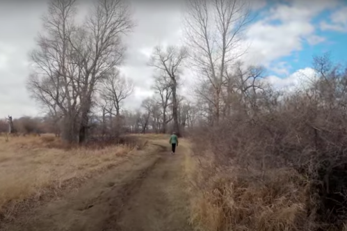 A person walks along a dirt path surrounded by bare trees and shrubs under a cloudy sky.