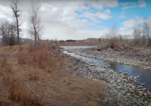 A serene riverbank scene with rocky shores, sparse trees, and a cloudy sky in the background.