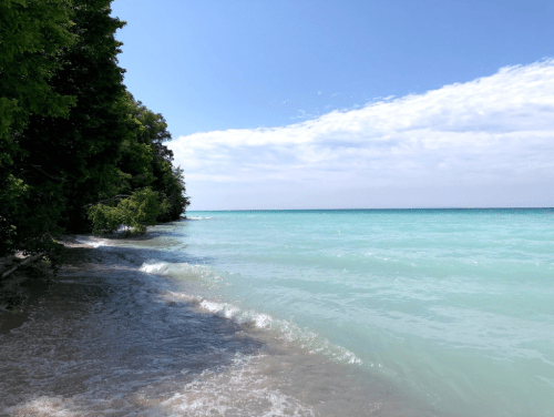 A serene beach scene with turquoise water, gentle waves, and lush green trees along the shoreline under a clear blue sky.