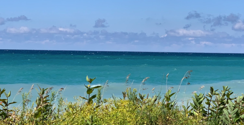 A serene view of the ocean with turquoise waters and a clear blue sky, framed by lush green vegetation.