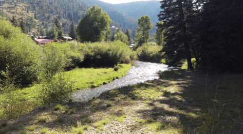 A serene river flows through a lush green landscape, surrounded by trees and mountains in the background.