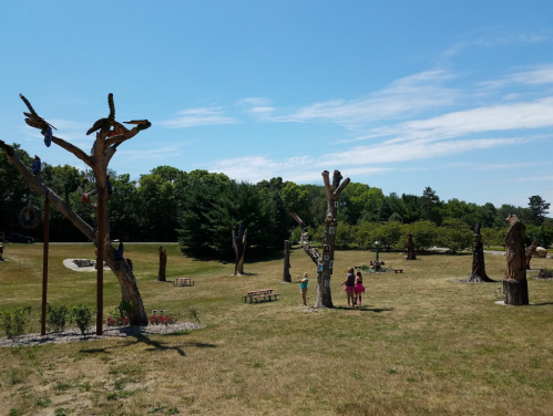 A sunny park with artistic tree sculptures and people exploring the area, surrounded by greenery and blue skies.
