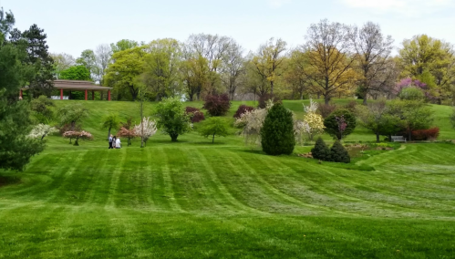 A lush green park with blooming trees and a group of people walking on a manicured lawn under a clear sky.