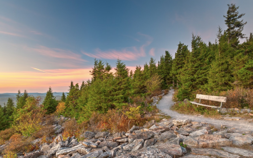 A scenic view of a rocky path leading to a bench surrounded by lush green trees under a colorful sunset sky.