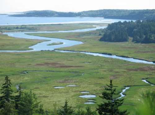 A scenic view of a winding river through lush green fields and trees, with a distant coastline under a clear sky.