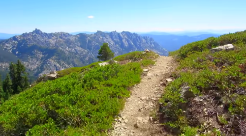 A scenic mountain trail winding through lush greenery, with rugged peaks in the background under a clear blue sky.