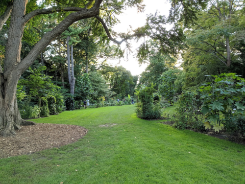 A lush garden path surrounded by trees and greenery, leading into a serene, natural landscape.