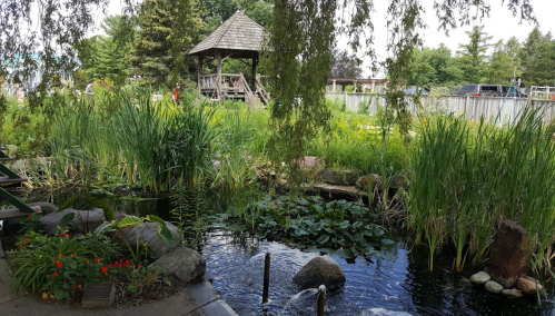A serene garden scene featuring a pond, lush greenery, and a wooden gazebo in the background.