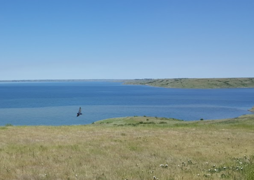 A serene landscape featuring a blue lake, green hills, and a clear sky, with a bird flying over the water.