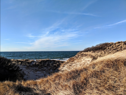 A sandy dune landscape with tall grass, leading to a calm ocean under a clear blue sky.