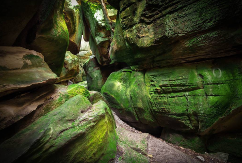 A narrow, moss-covered canyon with towering green rock walls and a dirt path winding through the center.
