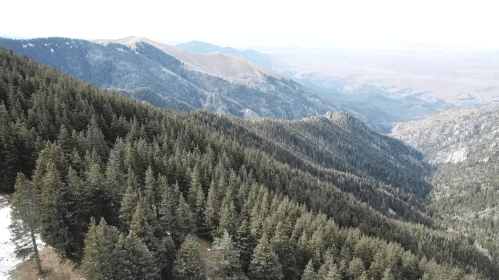 Aerial view of a mountainous landscape with dense evergreen forests and distant hills under a cloudy sky.