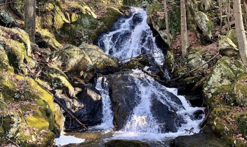 A serene waterfall cascading over rocks, surrounded by lush greenery and trees in a peaceful forest setting.