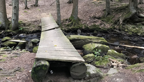 A wooden bridge over a small stream in a forest, surrounded by trees and moss-covered rocks.