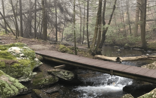 A wooden bridge crosses a stream in a misty forest, surrounded by moss-covered rocks and tall trees.