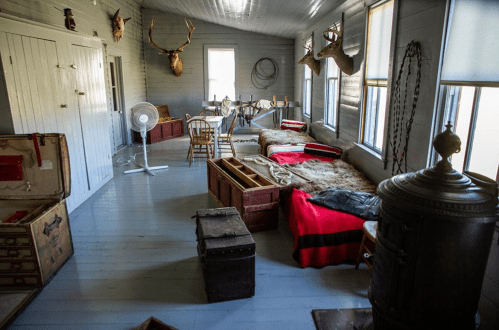 A rustic room with wooden furniture, animal mounts on the walls, and vintage trunks scattered around.