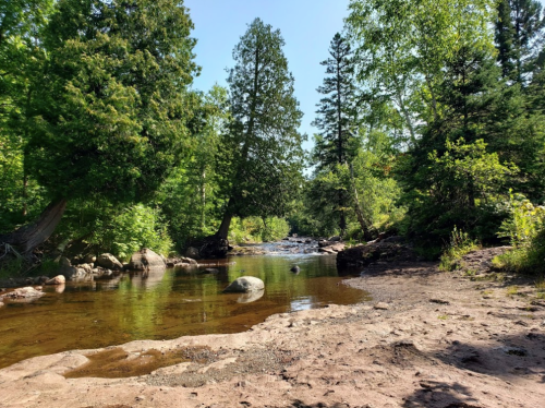 A serene river scene with clear water, surrounded by lush green trees and rocky banks under a bright blue sky.