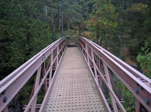 A metal bridge spans a forested area, surrounded by trees and greenery, leading into a natural landscape.