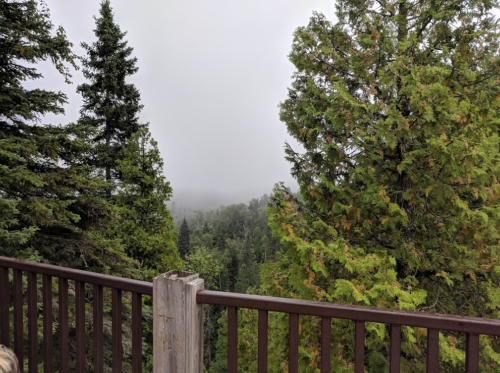 Foggy landscape view from a wooden railing, surrounded by lush green trees.