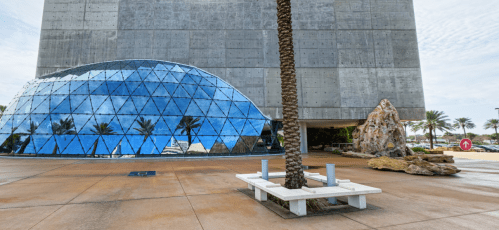 Modern building with a reflective glass facade, palm trees, and a rock formation in the foreground.