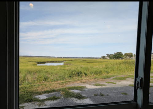 View of a serene marshland through a window, featuring tall grasses and a calm waterway under a clear blue sky.