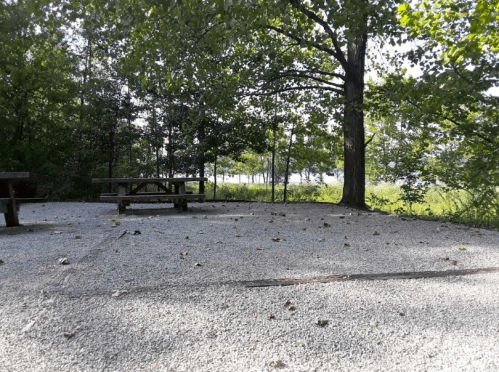 A gravel picnic area with a wooden table, surrounded by trees and a view of a distant lake.