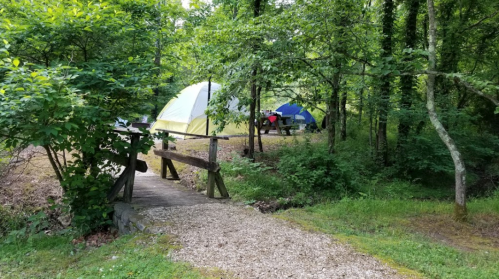 A wooded campsite with two tents and a wooden bridge over a gravel path surrounded by greenery.