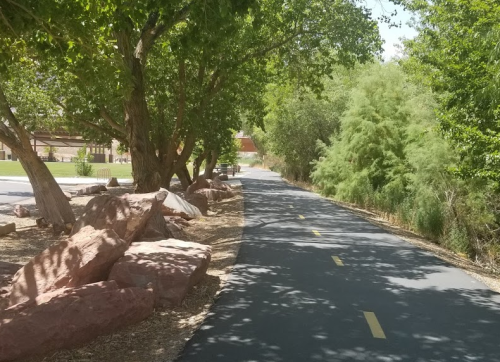 A shaded pathway lined with trees and rocks, leading through a green area on a sunny day.